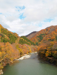 River with colorful trees in autumn, Japan