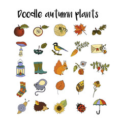 Big set of handdrawn unique autumn icons. 