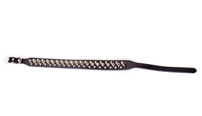 leather studded collar
