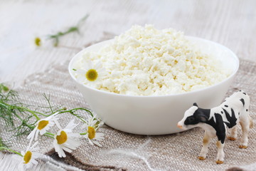 Cottage cheese in a bowl