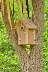 Un nichoir à oiseaux fixé sur un Yucca