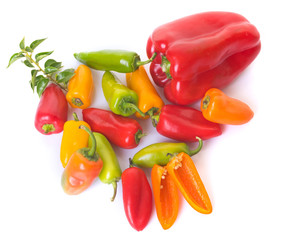 colorful sweet pepper in studio