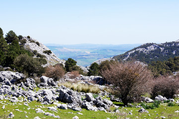 Sierra de Grazalema, Cádiz, Andalucía, España