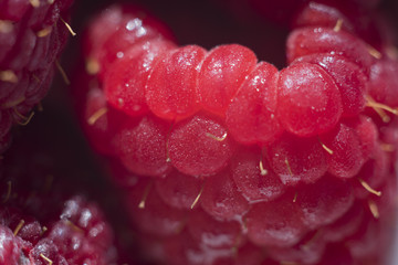 Macro view of a raspberry
