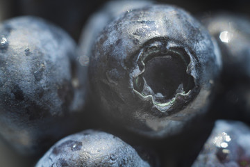 Macro blueberries close up