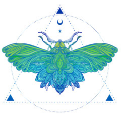 Colorful gradient decorative vector illustration of moth isolated on white over sacred geometry lines. Tattoo design. Coloring book for adults. Nature, spirituality, occultism, alchemy