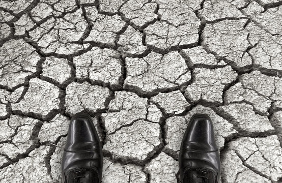 a salaman shoes standing on dry arid oil ground. in another mean as who had a barrier crisis time or difficult troble concept.