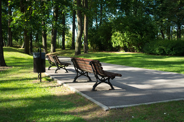Wooden benches in a city park.