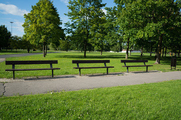Wooden benches in a city park.