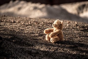 Teddy's last adventure