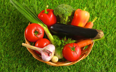 Fresh vegetables in a plate on the grass. Healthy food. Diet