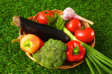 Fresh vegetables in a plate on the grass. Healthy food. Diet