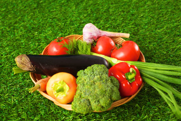Fresh vegetables in a plate on the grass. Healthy food. Diet