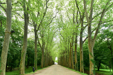 Chateau de Chenonceau Gardens - France