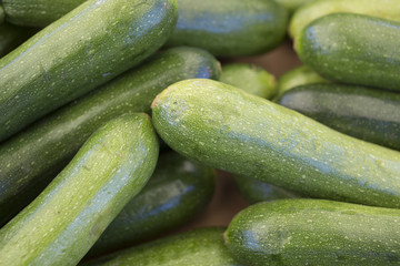 Cucumbers at the Farmers Market.