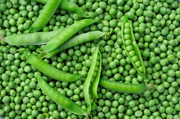Green pea