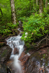 Obraz premium Nantahala Lake Falls