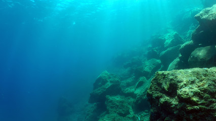 Fototapeta na wymiar natural underwater background 
