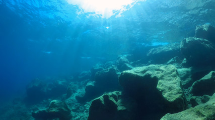 Fototapeta na wymiar natural underwater background 