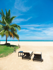  beach and tropical sea