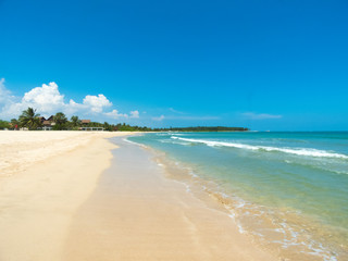  beach and tropical sea