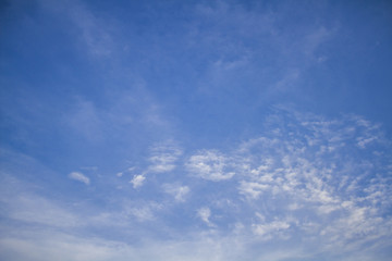 Obraz premium Beauty landscape with blue sky