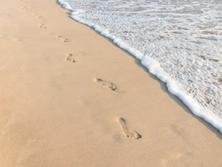  beach and tropical sea