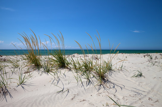 Blue sky, sea and sand on deserted beach © BSANI