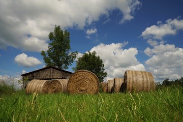 Obraz premium Big straw bales under blue sky in summer