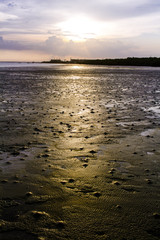 forest at the river estuary with beauty sunset