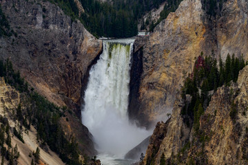 Fototapeta na wymiar Lower Falls of Grand Canyon of Yellowstone