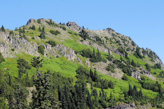 Granite and Green Hillside
