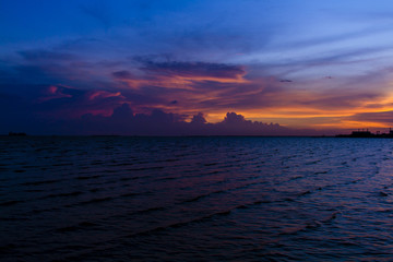 forest at the river estuary with beauty sky and cloudy