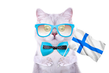 Beautiful British cat with the flag. Language School. Flags of the world. Flags of countries