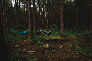 Camping in the rainforest with hammock and campfire