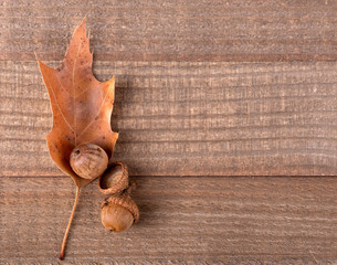 Oak Leaf and Acorns on a Wooden Surface