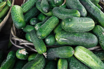 Pickling cucumbers