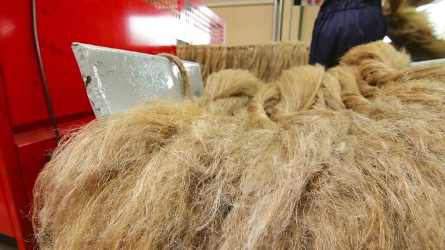 Worker with raw flax materials at manufacturing line. Hands of factory worker near machine. Beige flax at flax factory. Working process at flax plant close up.