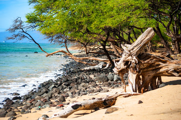 Makena State Park beach, Maui island, Hawaii