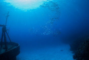A school of jacks can be seen swimming away from the stern ection of the sunken shipwreck the Kittiwake. This popular tourist attraction in Grand Cayman is home to a variety of marinelife