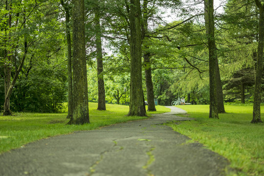 Maisonneuve Park Trail