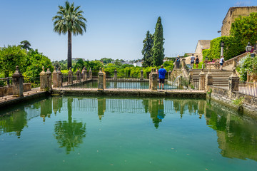 Fototapeta na wymiar Reflections on a pond at the Alcazar de los Reyes Cristianos castle in Cordoba, Spain, Europe