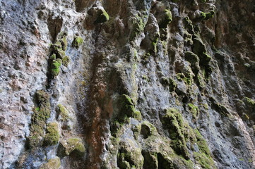 Rocks