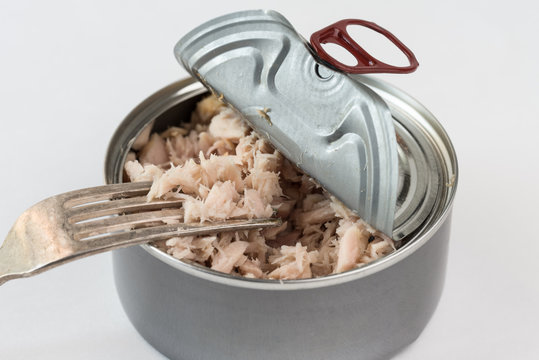 Tuna in the Can on a White Background