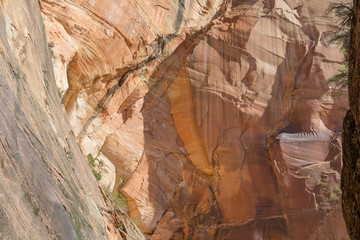 Zion National Park Canyon Rock Faces Over Look Trail