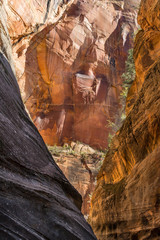 Fototapeta na wymiar Zion National Park Canyon Rock Faces Over Look Trail
