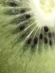 Kiwi Macro 1