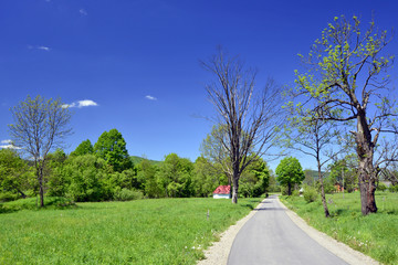 wiosna w Beskidzie Niskim