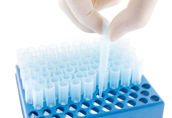 Pipette tips blue box isolated