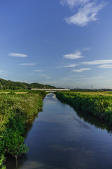 Fototapeta na wymiar 夏の鹿島川の風景